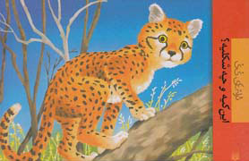 این کیه چه شکلیه