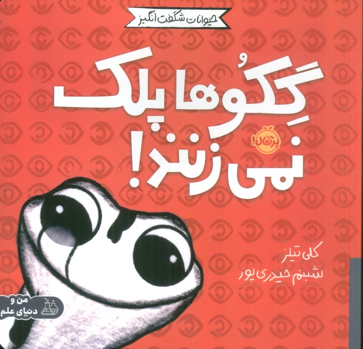 حیوانات شگفت انگیز / گکوها پلک نمی زنند