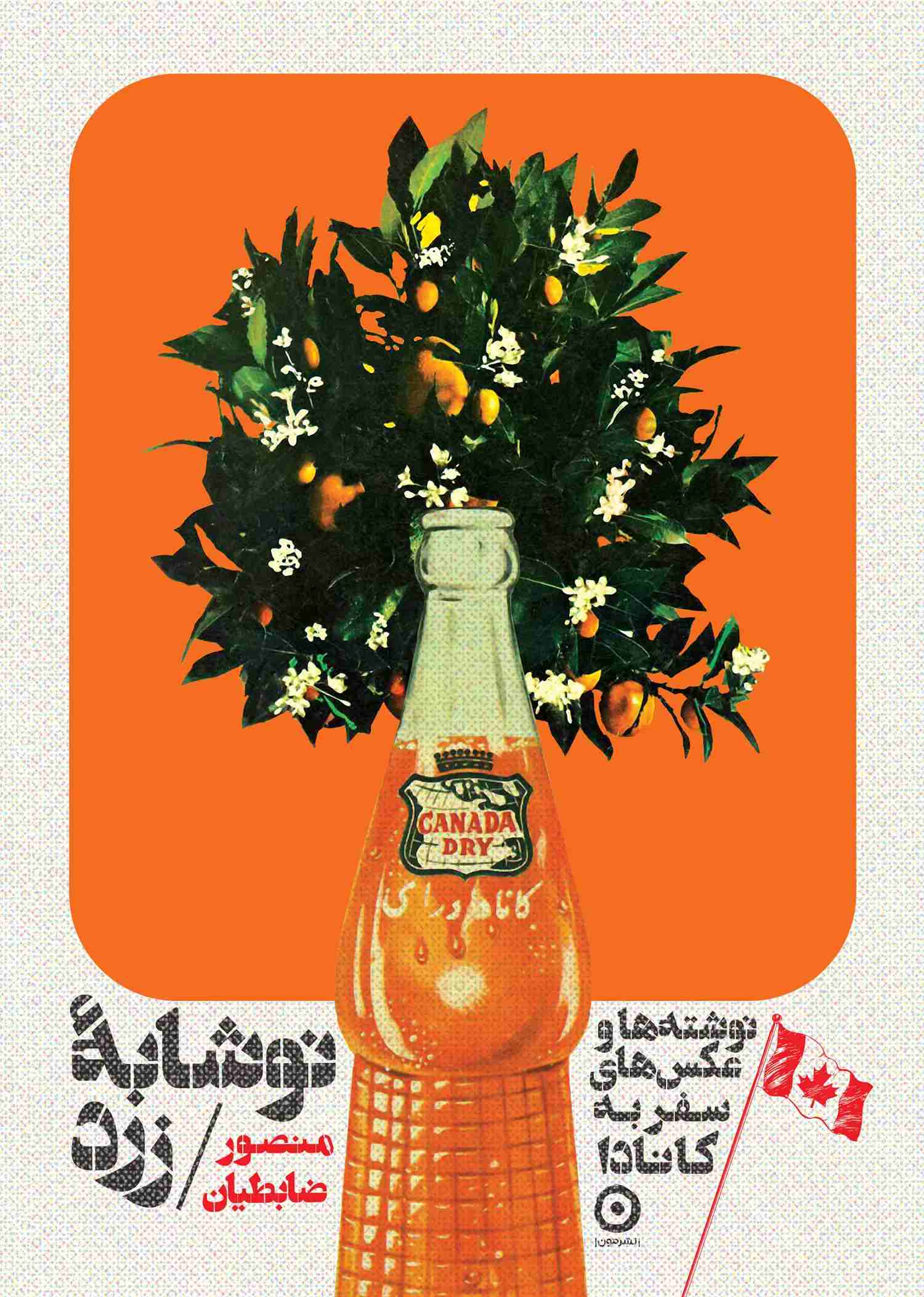 نوشابه زرد / مون