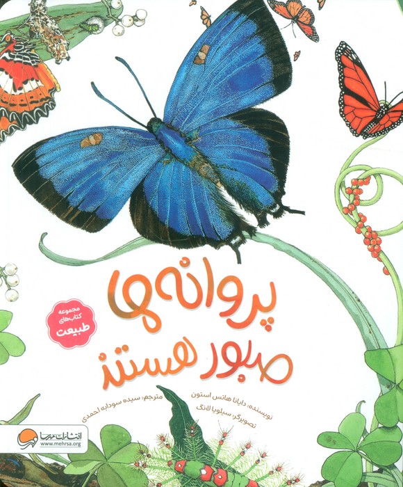 پروانه ها صبور هستند